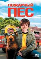 Пожарный пес Пожарный пес