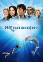 История дельфина