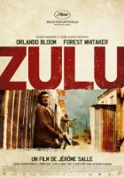 Теория заговора (2013)