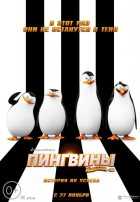 Пингвины Мадагаскара Пингвины Мадагаскара