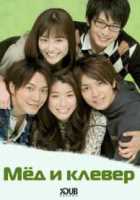 Мед и клевер Мед и клевер