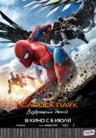 Человек-паук: Возвращение домой Человек-паук: Возвращение домой