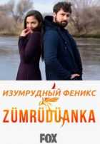 Изумрудный Феникс Изумрудный Феникс