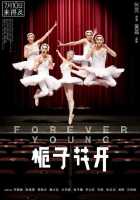 Гардения в цвету Гардения в цвету