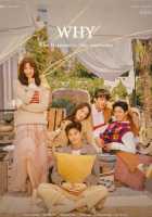 Почему Почему