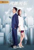 Идеальный партнер Идеальный партнер