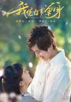 Профессионал-одиночка Профессионал-одиночка