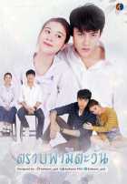 Пока светит солнце