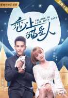 Влюблен в кошку Влюблен в кошку