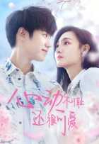 Обратный отчет для любви Обратный отчет для любви