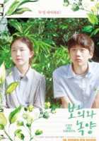 Парень и зелёная ива Парень и зелёная ива