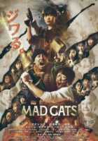 Бешеные кошки