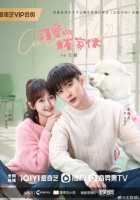 Очаровательный плохой парень Очаровательный плохой парень