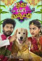 Собачий развод