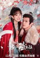 Тайная любовь губернатора Тайная любовь губернатора