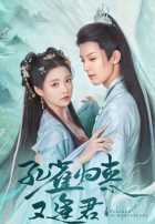 Павлин в стране чудес