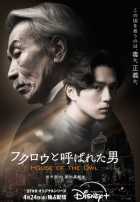 Дом Совы Дом Совы