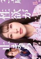 Моё правило одной ночи