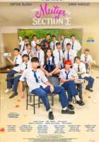 Жемчужина класса Е Жемчужина класса Е